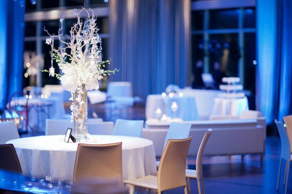 420704 10150667273564736 1025079236 n - Manic Botanic