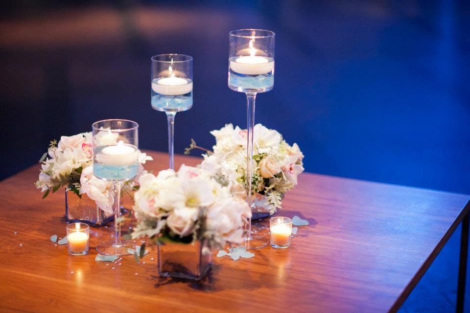 429941 10150667284729736 507640168 n - Manic Botanic