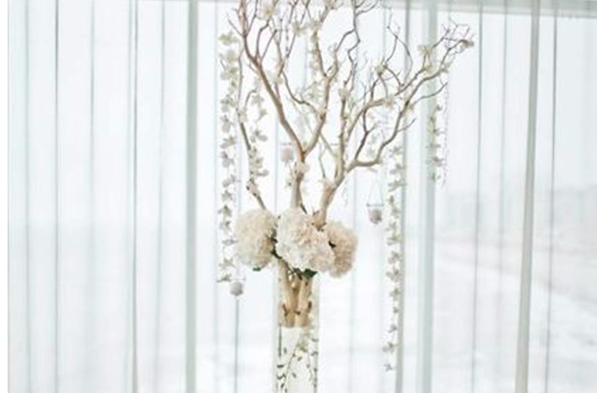 608 1 - Manic Botanic