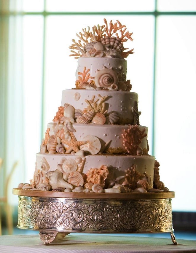 Chocolate Shells Cake - Wedding Cake