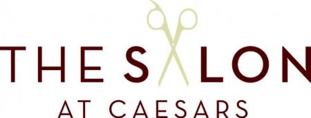 TheSalon CardinalRed 4C 450x172 1 - Partners