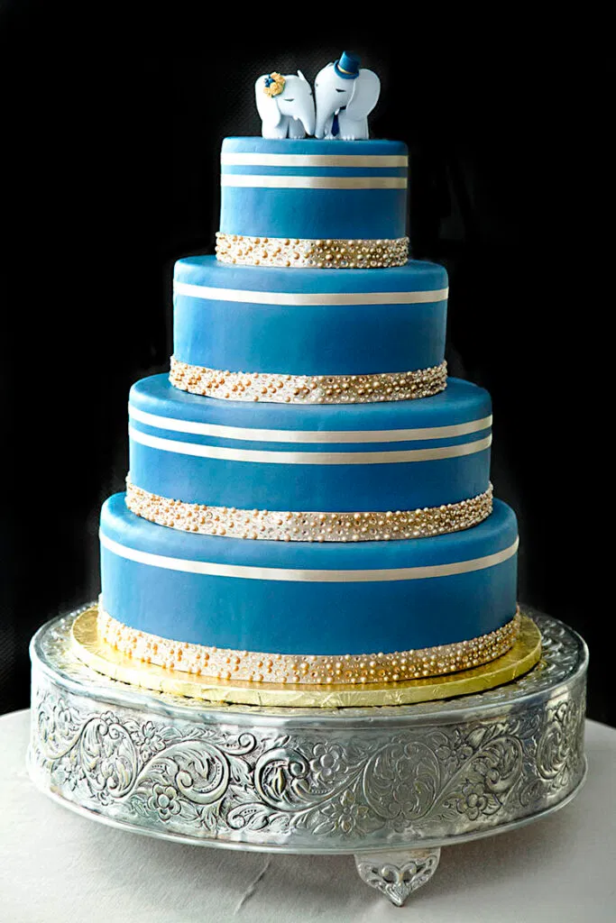 DN sm4324 683x1024 - South Asian Weddings