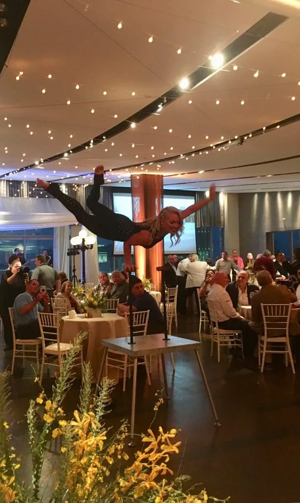 IMG 9546 611x1024 - Entertainment