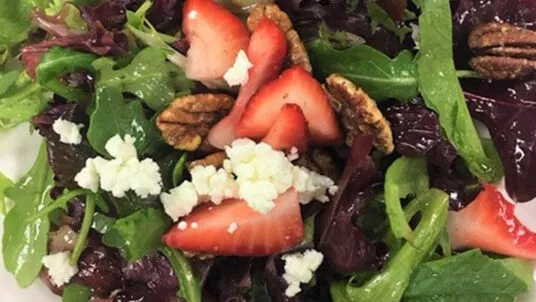 spring 536x302 - Sample Menus